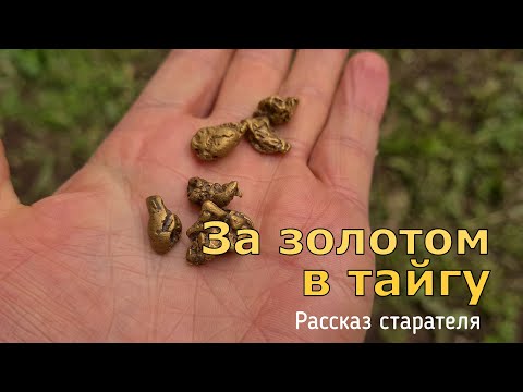 За золотом в тайгу. Рассказ вольного старателя о золотом промысле. Сколько заработать и чего бояться