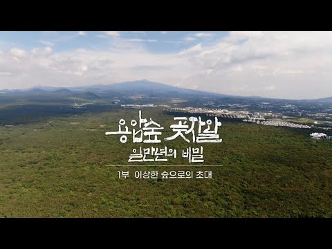 용암숲 곶자왈 1만 년의 비밀 - 1부 이상한 숲으로의 초대