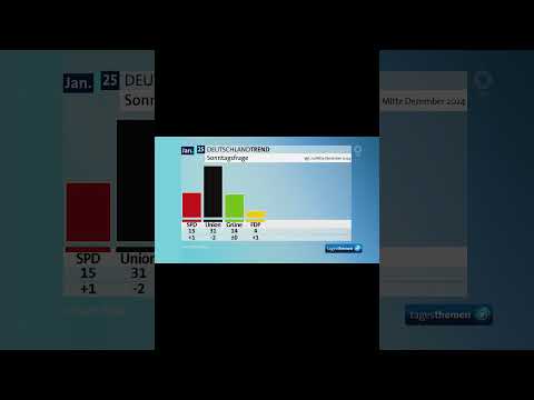 AfD springt nach Weidels Hitler-Aussagen auf 20 Prozent