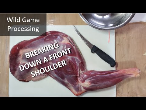 Breaking down a front shoulder