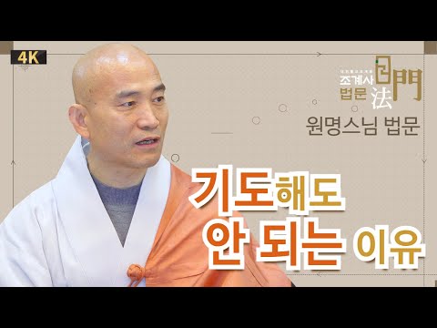 기도해도 안되는 이유 #원명스님 #신중기도입재 #법문 #조계사