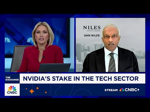 AI stocks will rise a lot as the Fed cuts rates, says Niles Investment Management's Dan Niles