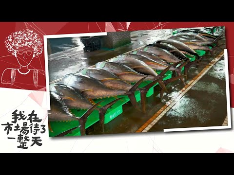 【我在市場待了一整天】 EP3南方澳漁市