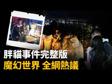 20分鐘帶你了解「胖貓」事件，從始至終到底都發生了什麼？︱解密日記