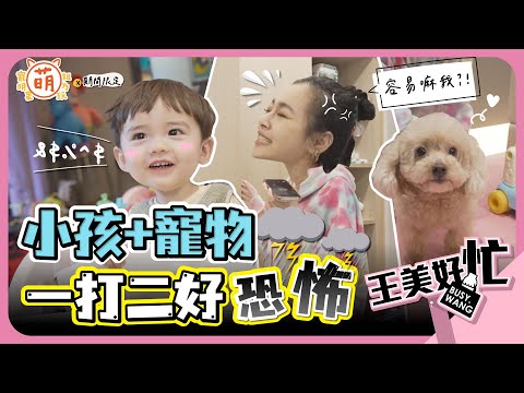 王思佳 一日保母 竟被當廉價勞工？ 王美 一打二好忙好崩潰！【 萌期間限定 】 萌寵明星粗乃玩 特別企劃 @haveapetday