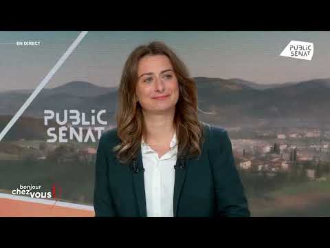 Marine Tondelier : "le Rassemblement National ne sert à rien" (Public Sénat)