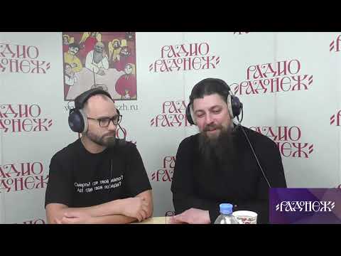 Неврозы, психозы, депрессия - как быть, что делать? | Запись эфира Радио "Радонеж", вед. С. Комаров