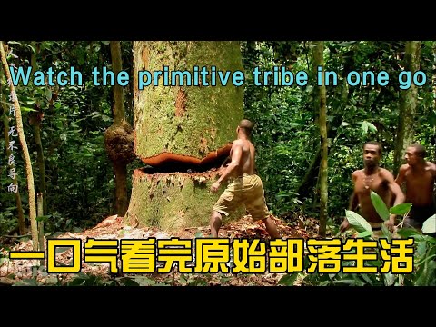 一口气看完原始部落大型纪录片，浓缩都是精华I watched a large-scale documentary on primitive tribes in one go