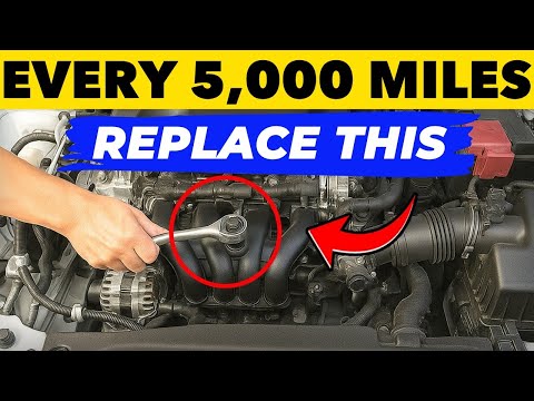 Most Cars Die Early—These 20 Habits Took Mine to 700k Miles!