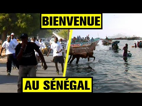 On est parti dormir chez l'habitant AU SÉNÉGAL !