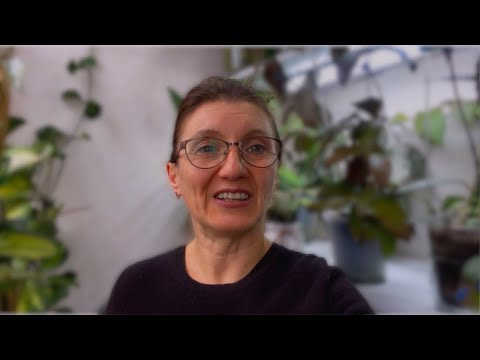 HOYA REVIEW ✅️ How hoyas grow in "minimal conditions": WITHOUT LIGHT💡and HEAT🌞