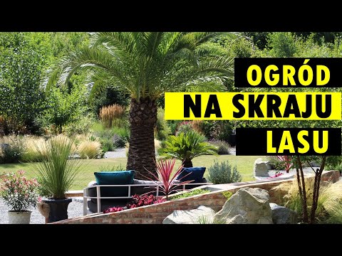 EXOTIC GARDEN - detailed instructions and lots of tips on how to set it up and maintain it