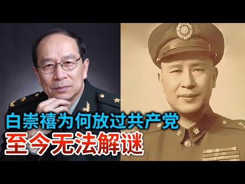 金一南一针见血 白崇禧为何突然让路共产党 并说出了那句让他流传至今的至理名言 至今无法解谜