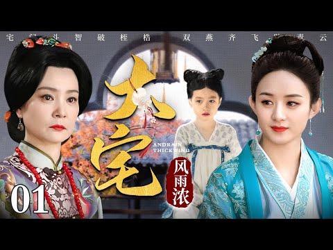 【2025古装宅斗剧】大宅风雨浓 01 | 宅门斗智破桎梏，双燕齐飞踏青云，孤女凭借经商头脑济民救市的传奇励志故事（刘雪华 / 赵丽颖 / 吕艺洲） 堪比《知否》明兰逆袭史