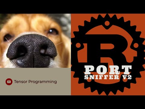 Rust Port Sniffer v2 - Update