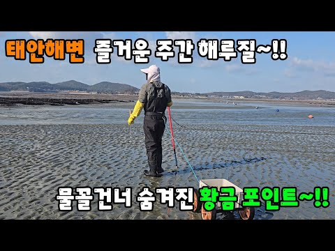 Taean Beach, a fun week of sunset~!! A hidden golden point across the water~!!