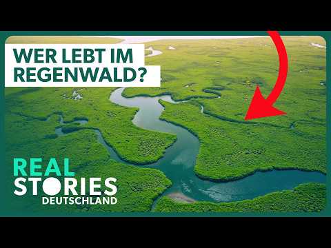 XXL-Doku: In den Tiefen des Atlantischen Regenwalds