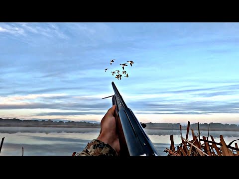 NORTHERN DUCK HUNTING!!! RAID AFTER RAID!!! OUT OF CARTRIDGE!!!