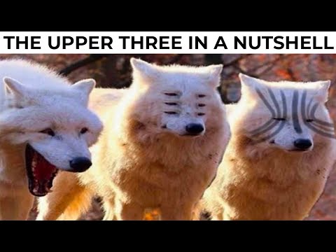 DEMON SLAYER MEMES 8