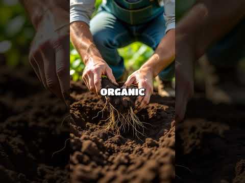 Cultivating a Greener Tomorrow: Your Guide to Sustainable Gardening for a Healthier Planet