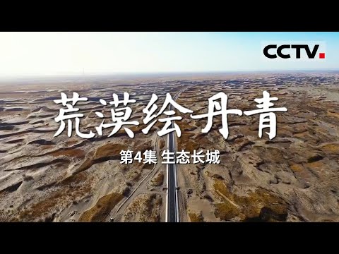 《荒漠绘丹青》 生态长城：沙漠边缘的绿色奇迹！看河西走廊的生态治理 EP04【CCTV纪录】