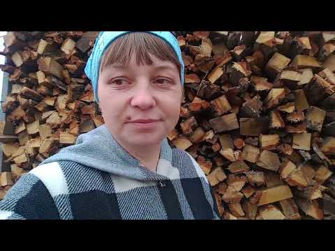 Deep autumn has come. Firewood is hidden until winter. Disappointment with rabbits. What pleases ...