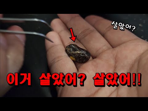 ★긴급상황★오자마자 일 터졌네요...얼른 싹 찢어버렸습니다!