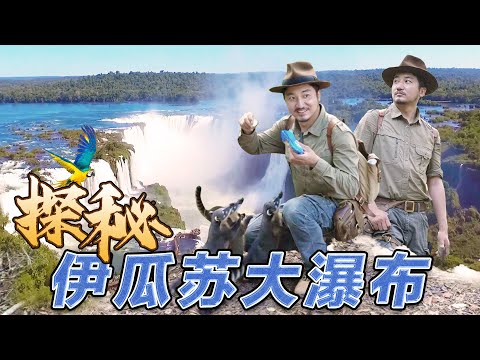 第306集 走進南美熱帶雨林，伊瓜蘇瀑布生存大挑戰｜冒險雷探長Lei's adventure