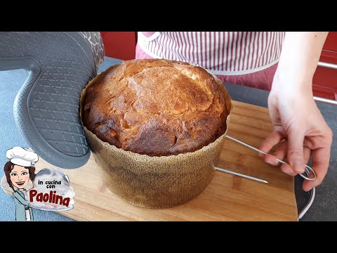 Typical Christmas dessert. 🎄 Classic panettone with hand dough.