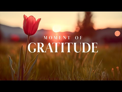 MOMENT OF GRATITUDE - Soaking Worship Instrumental - Prayer Music For Devotional, Meditation, Relax