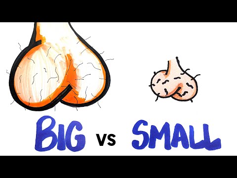 What your ball size says about you