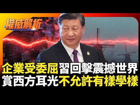 打壓中國企業國家力量回擊全球震撼！荷蘭挑戰中國慘案就在眼前 習近平不允許有人有樣學樣｜#寰宇新聞 #環球大戰線