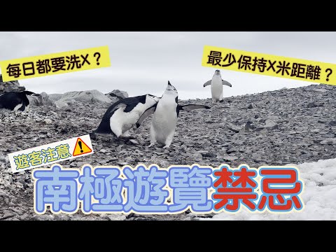 遊覽南極規矩很多？麻不麻煩？我可以摸摸企鵝嗎？你想也想不到有一件事每天都要做......