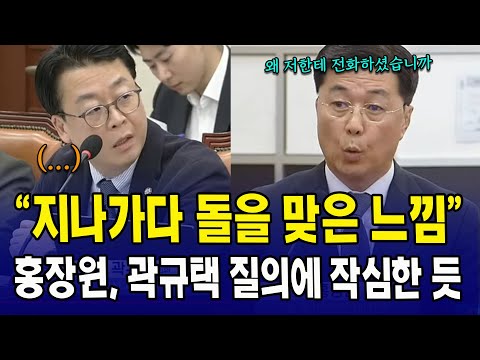 "지나가다 돌을 맞은 느낌" ...홍장원, 곽규택 질의에 작심한 듯