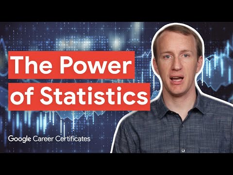 The Vital Role of Statistics | Google Advanced Data Analytics Certificate