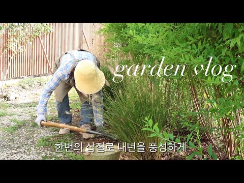지금해도 늦지 않아요 | 선물받은 나무 심기🌱 |  내년 정원을 준비해요 | 반려견과 인간의 놀이🐶