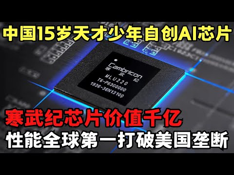 中国15岁天才少年打破美国垄断, 自创寒武纪AI芯片价值千亿, 性能全球第一震惊美国工程师｜科学边界