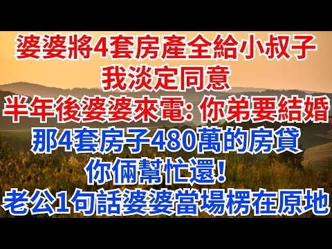婆婆將4套房產全給小叔子,我淡定同意。半年後婆婆來電:你弟要結婚,那4套房子480萬的房貸,你倆幫忙還!老公說出一句話,婆婆當場楞在原地!#情感故事 #故事分享 #家庭矛盾 #婆媳 #小叔子