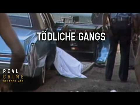 Killer und Kartelle: Die brutalsten Gang-Verbrechen der USA | XL True Crime Doku