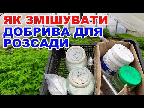 Помилки при змішуванні добрив: як не зіпсувати розсаду