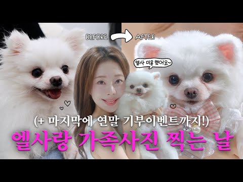 엘사 미용하고 처음으로 가족사진 찍은 날 🐶🤍 (+) 엘사랑 같이 유기견 기부까지❤️