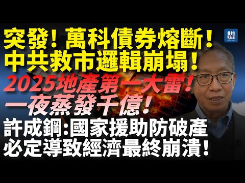 【突發】萬科債券熔斷！2025地產第一大雷，一夜蒸發千億！中共救市邏輯崩塌！許成鋼：國家援助防破產必導致經濟最終崩潰！#许成钢#許成鋼#万科#中国经济#中国房地产#土地财政#地方债#楼市崩盘#房产泡沫