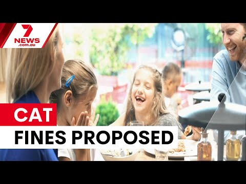 THE DEBRIEF: Cat ban, Dining demands, Word of the year | 7NEWS