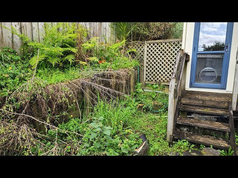 I Couldn't Believe It Had Turned Into a Jungle Like This! | Garden Rescue