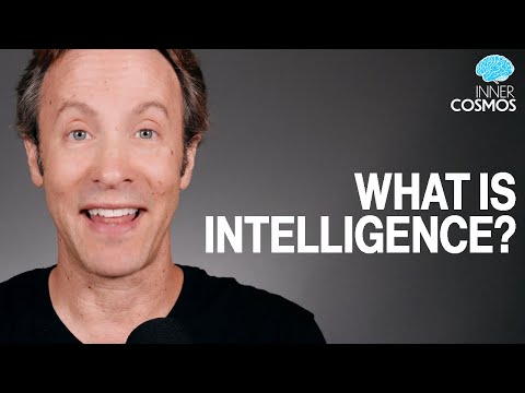 What is intelligence? | Inner Cosmos with David Eagleman