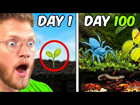Reacting To Simulating FOREST For 100 Days