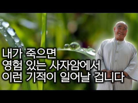 영혼, 윤회는 없다 | 중도에 대한 인식 바꿔야 | 성직자가 필요 없는 세상이 참세상 | '산골 노승의 화려한 점심' 향봉스님 8 끝