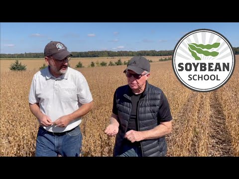 Soybean School: No-till works but a little tillage can help