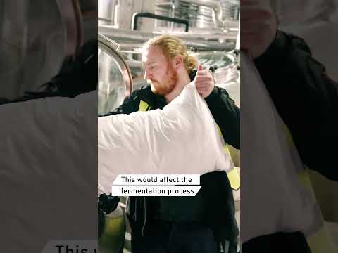 How to make new beer from old bread