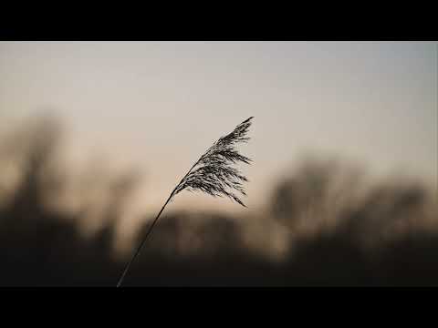 10 best originals from 2021/2022 - Relaxing Piano (by James Malikey)